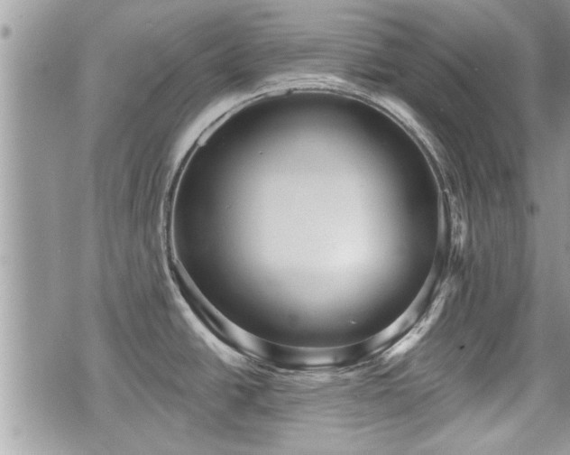 X0000070401438200606161334