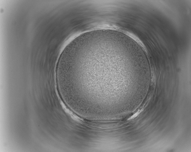 X0000070401439200606161334