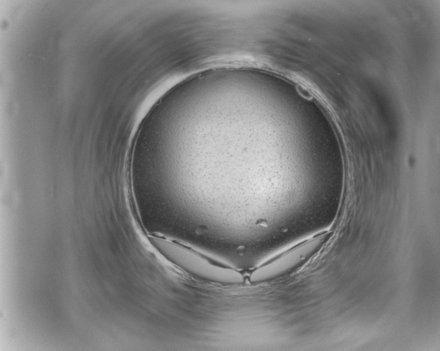 X0000070401440200606161334