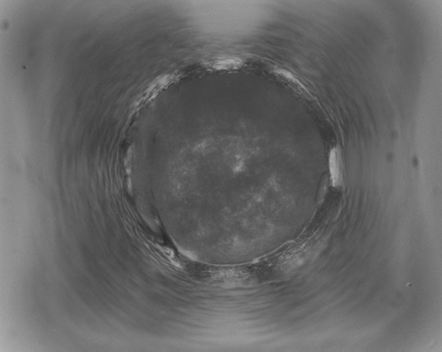 X0000070401443200606161333