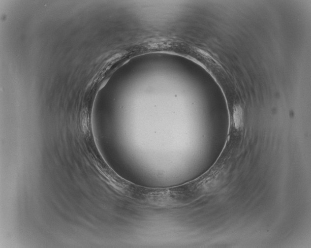 X0000070401444200606161333