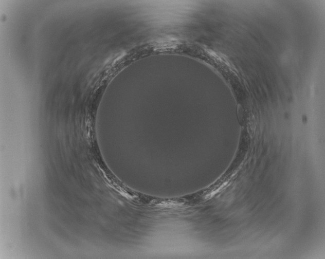 X0000070401445200606161333