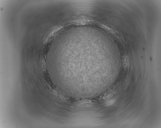 X0000070401446200606161333