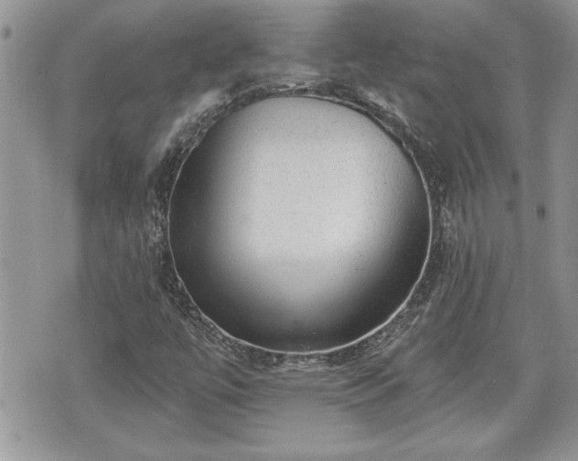 X0000070401447200606161333