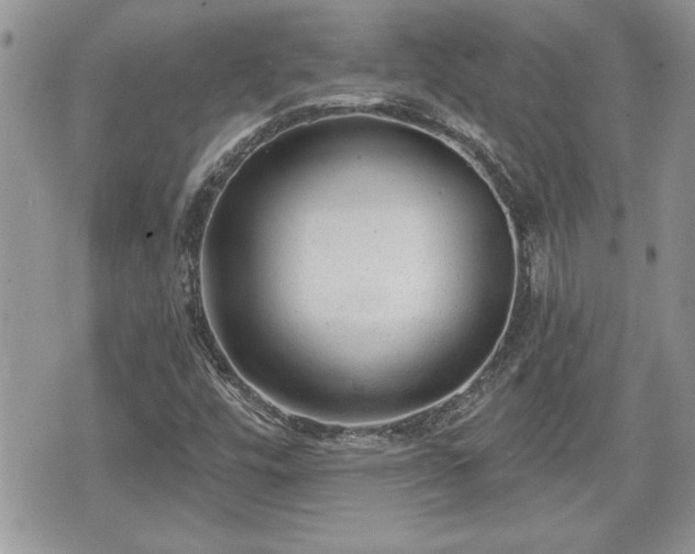 X0000070401448200606161333