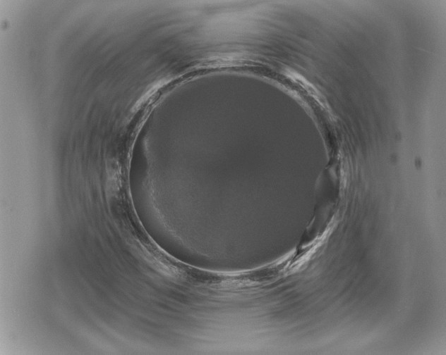 X0000070401449200606161333