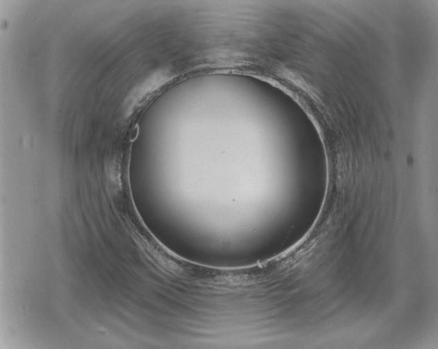 X0000070401451200606161333