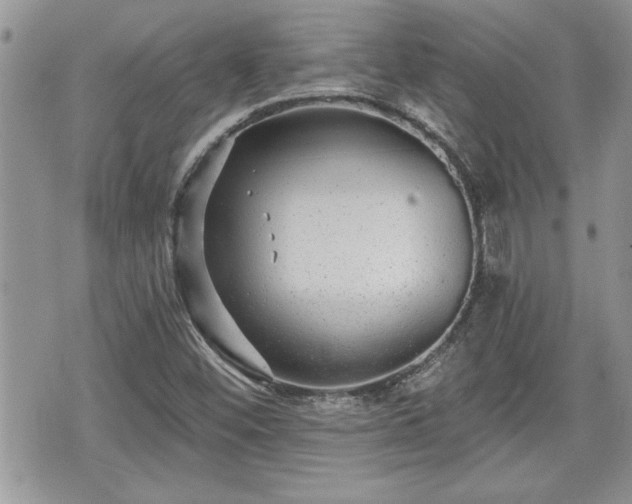 X0000070401452200606161333