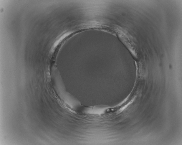 X0000070401453200606161333