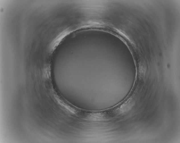 X0000070401455200606161333