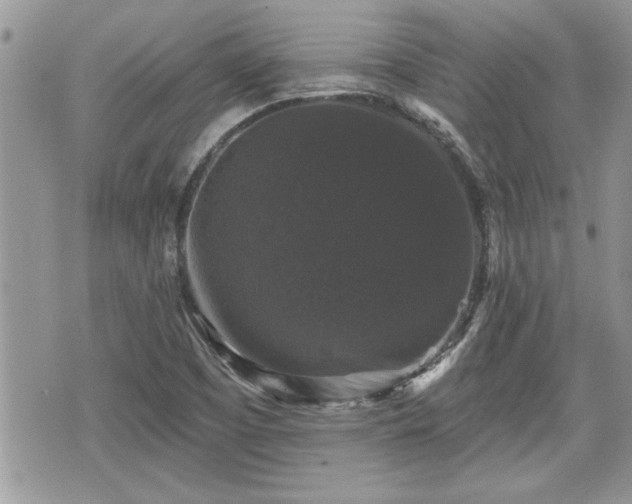 X0000070401457200606161333