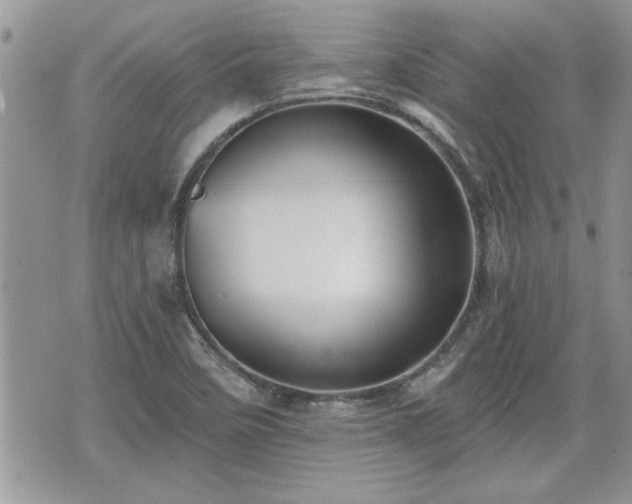 X0000070401458200606161333