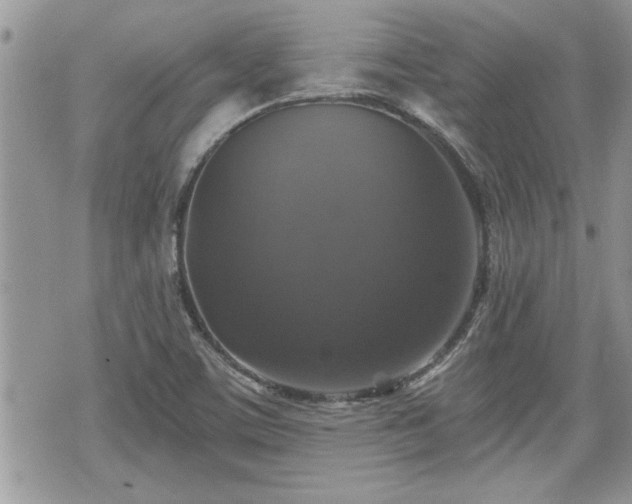 X0000070401459200606161333