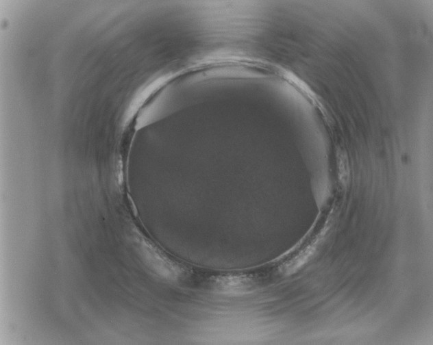 X0000070401461200606161333