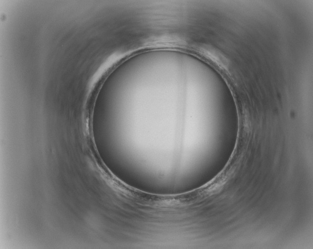 X0000070401462200606161333