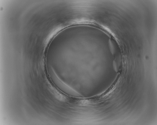 X0000070401463200606161333