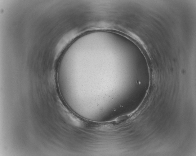 X0000070401464200606161333