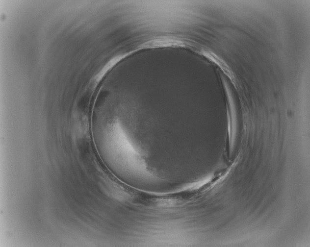 X0000070401465200606161333