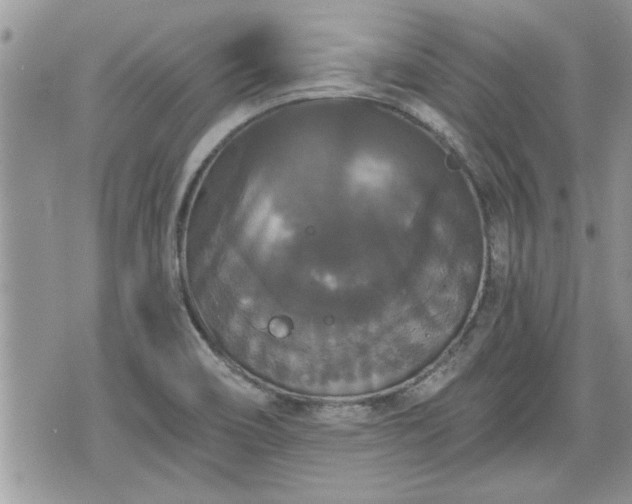 X0000070401466200606161333