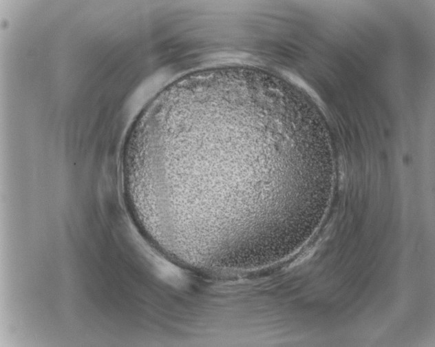 X0000070401467200606161333