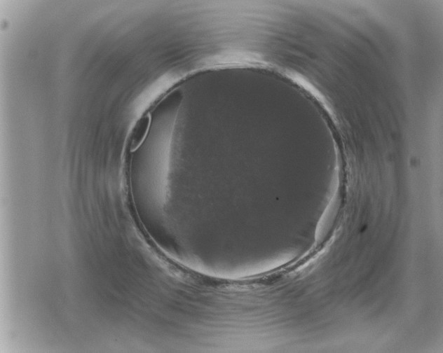 X0000070401469200606161333