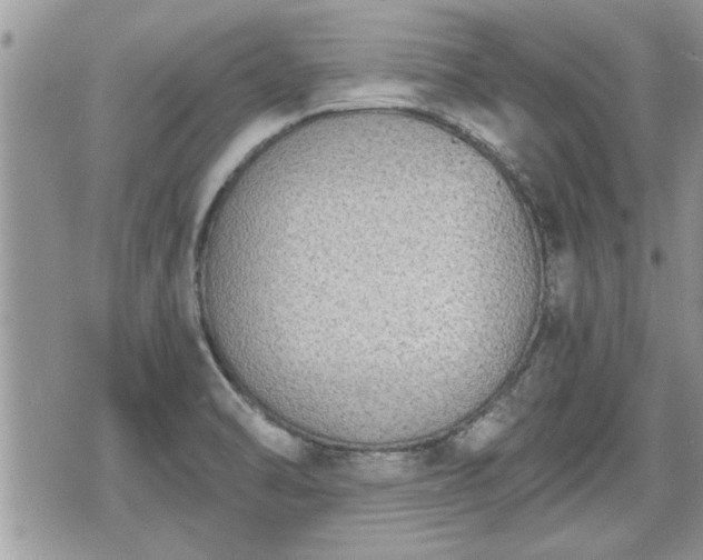 X0000070401470200606161333