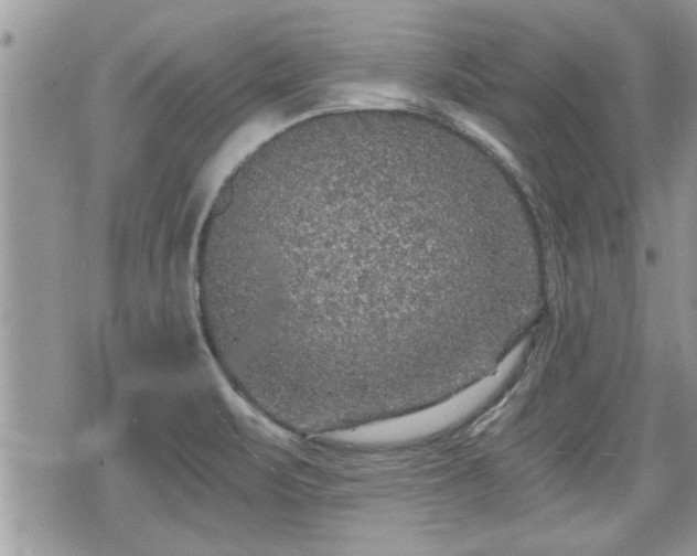 X0000070401471200606161333