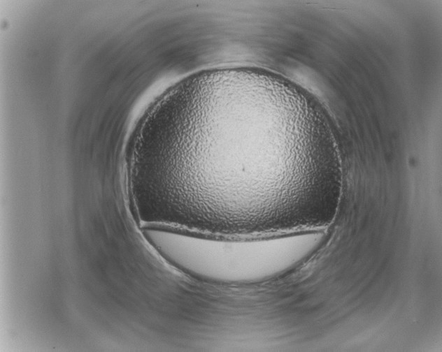 X0000070401472200606161333