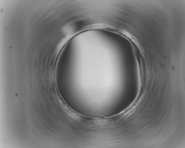 X0000070401473200606161333