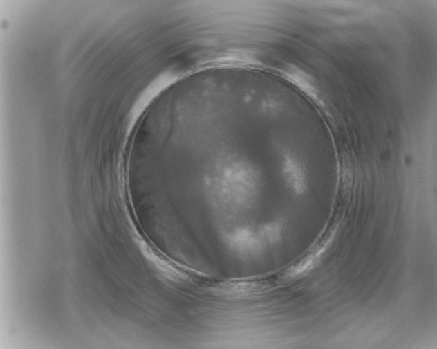 X0000070401474200606161333