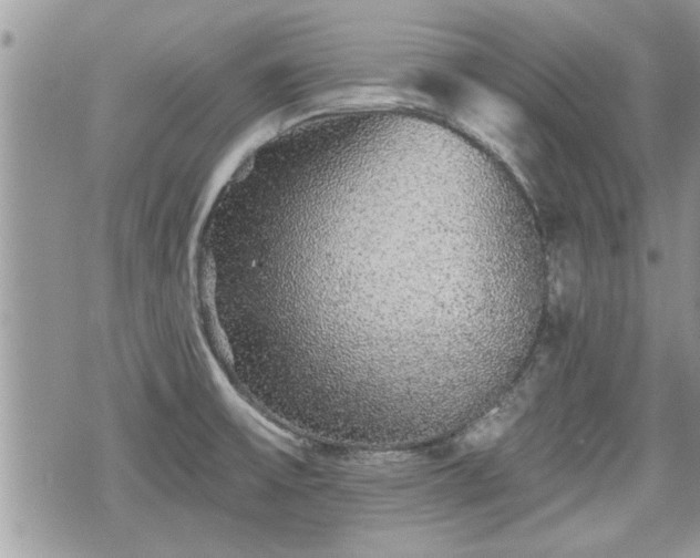 X0000070401475200606161333