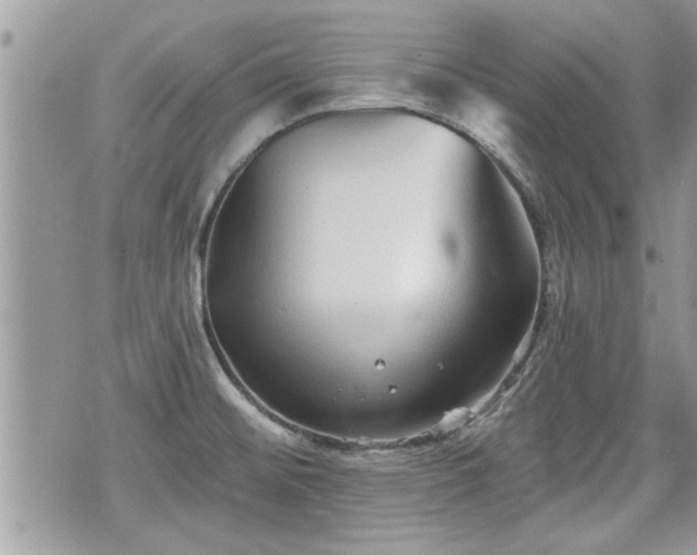 X0000070401476200606161333