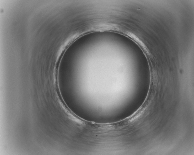 X0000070401477200606161333