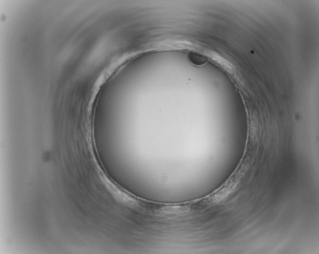 X0000070401478200606161333