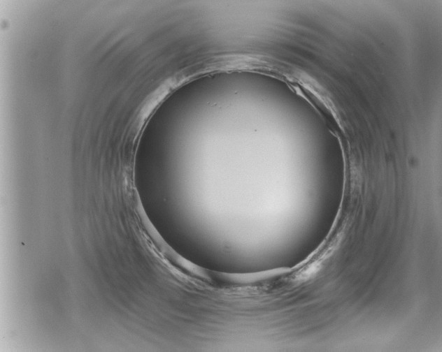 X0000070401481200606161333