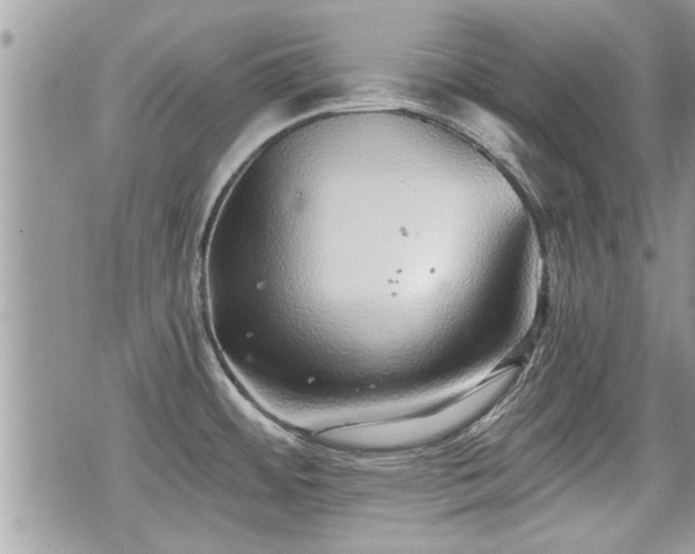 X0000070401484200606161333