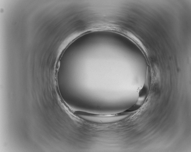 X0000070401485200606161333