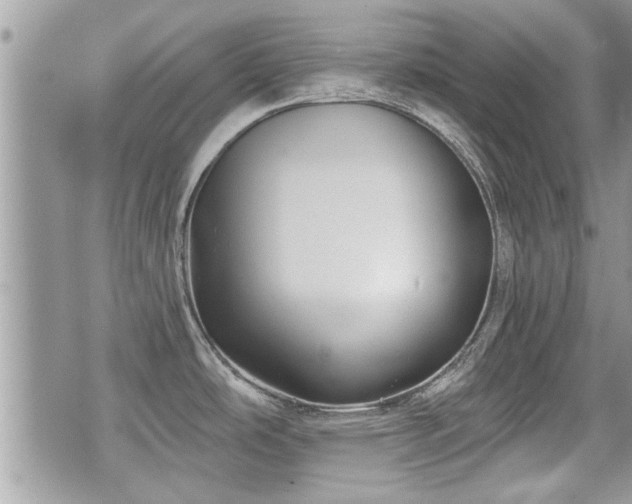 X0000070401486200606161333