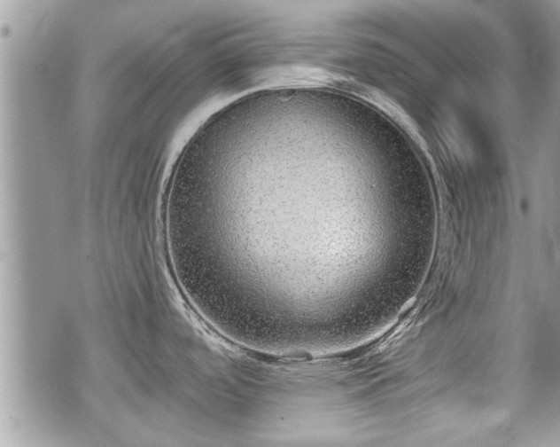 X0000070401488200606161333