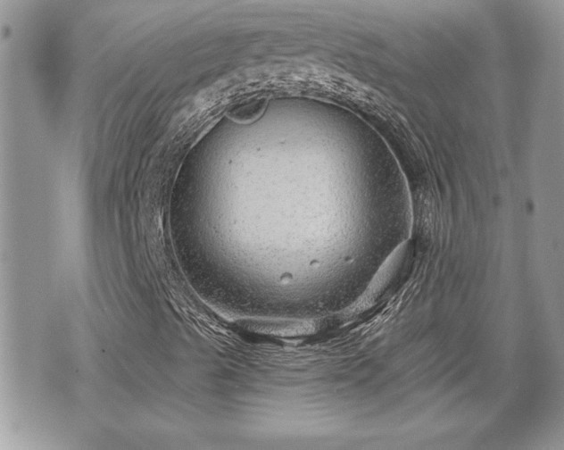 X0000070401489200606161332