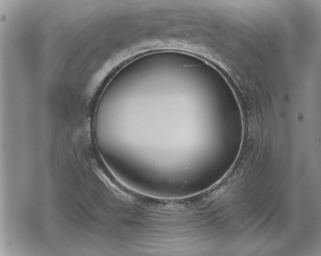 X0000070401503200606161332