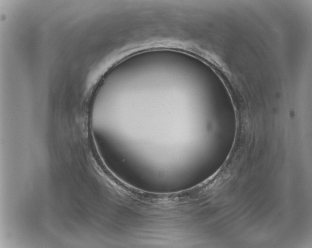 X0000070401504200606161332