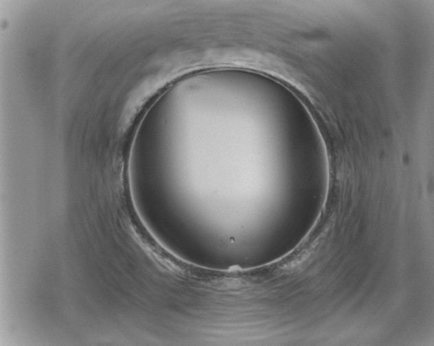 X0000070401507200606161332