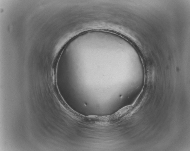 X0000070401509200606161332