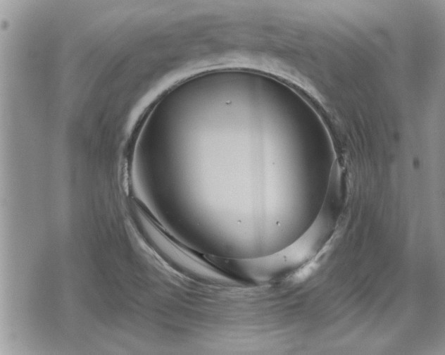 X0000070401510200606161332