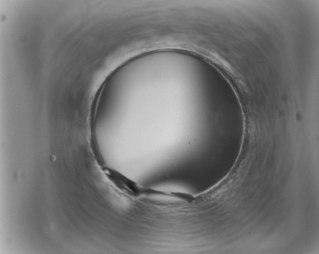 X0000070401512200606161332