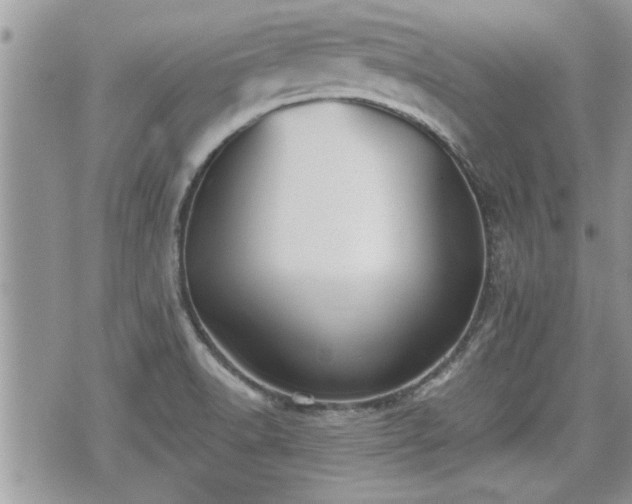 X0000070401518200606161332