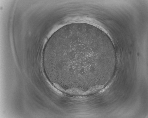 X0000070401525200606161332