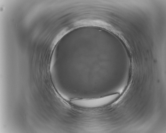 X0000070401529200606161332