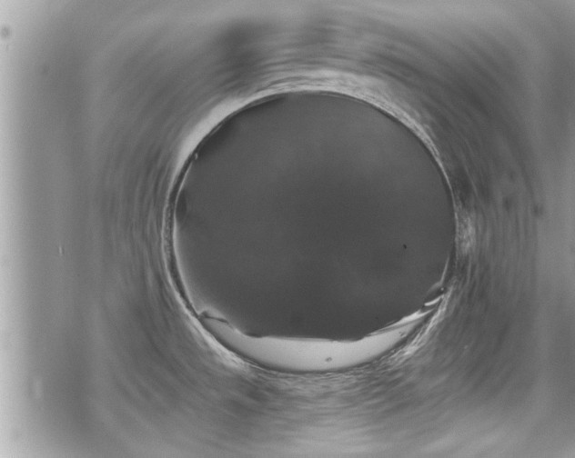 X0000070401533200606161332